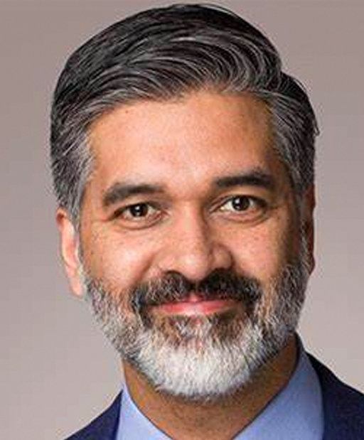 Vinay P. Saldanha