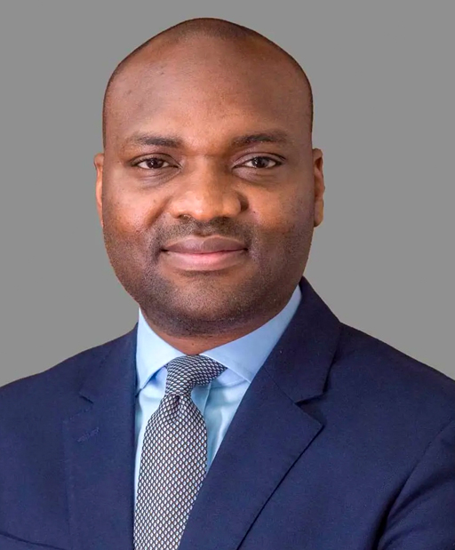 H.E. Mr. Aminu Umar-Sadiq